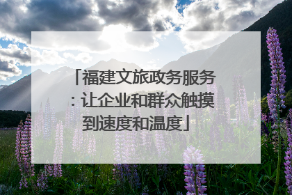 福建文旅政务服务：让企业和群众触摸到速度和温度