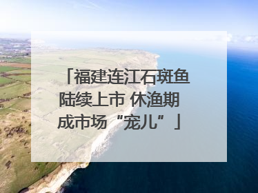 福建连江石斑鱼陆续上市 休渔期成市场“宠儿”