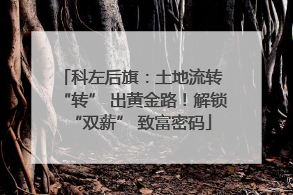 科左后旗：土地流转 “转” 出黄金路！解锁 “双薪” 致富密码