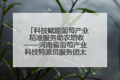 科技赋能葡萄产业 精准服务助农增收——河南省葡萄产业科技特派员服务团太康县科技服务纪实