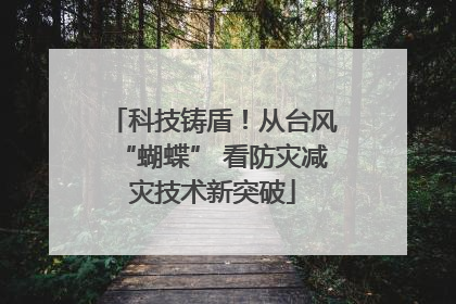 科技铸盾！从台风“蝴蝶” 看防灾减灾技术新突破
