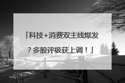 科技+消费双主线爆发？多股评级获上调！