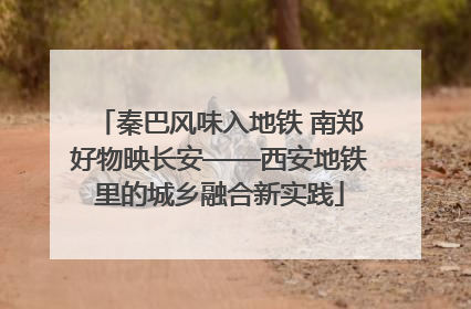 秦巴风味入地铁 南郑好物映长安——西安地铁里的城乡融合新实践