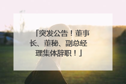 突发公告！董事长、董秘、副总经理集体辞职！