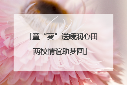 童“葵”送暖润心田 两校情谊助梦圆