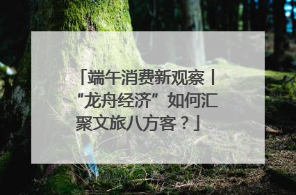 端午消费新观察丨“龙舟经济”如何汇聚文旅八方客？