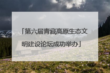 第六届青藏高原生态文明建设论坛成功举办