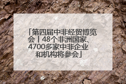 第四届中非经贸博览会丨48个非洲国家、4700多家中非企业和机构将参会