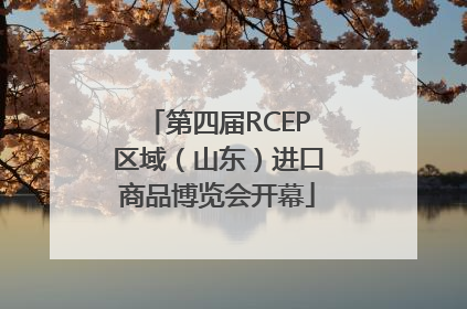 第四届RCEP区域（山东）进口商品博览会开幕