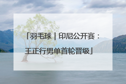 羽毛球｜印尼公开赛：王正行男单首轮晋级