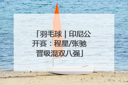 羽毛球｜印尼公开赛：程星/张驰晋级混双八强