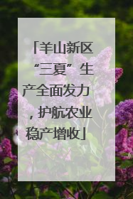 羊山新区“三夏”生产全面发力，护航农业稳产增收
