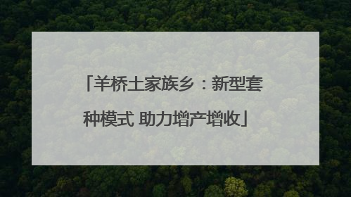 羊桥土家族乡：新型套种模式 助力增产增收