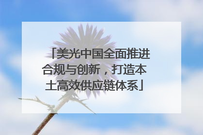 美光中国全面推进合规与创新，打造本土高效供应链体系