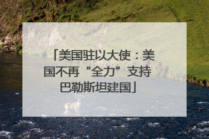 美国驻以大使：美国不再“全力”支持巴勒斯坦建国
