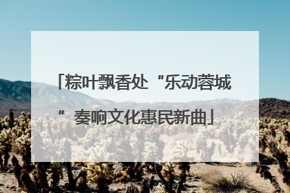 粽叶飘香处“乐动蓉城”奏响文化惠民新曲