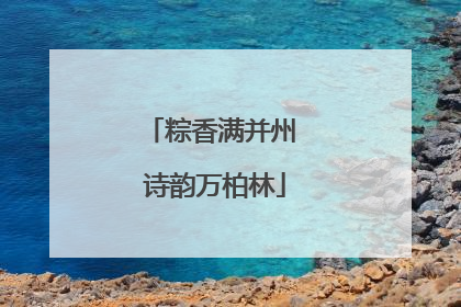 粽香满并州 诗韵万柏林