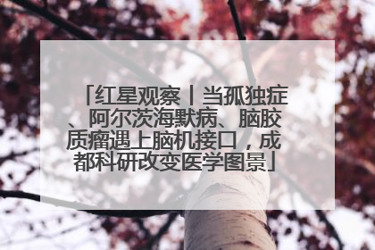 红星观察丨当孤独症、阿尔茨海默病、脑胶质瘤遇上脑机接口，成都科研改变医学图景