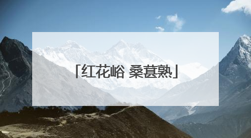 红花峪 桑葚熟