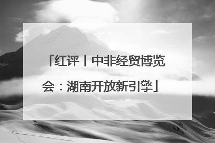 红评丨中非经贸博览会：湖南开放新引擎