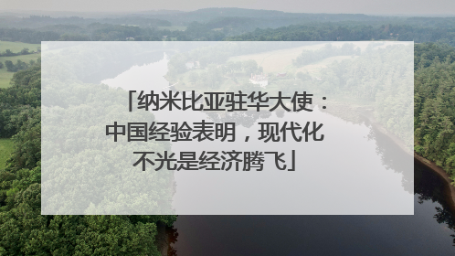 纳米比亚驻华大使：中国经验表明，现代化不光是经济腾飞