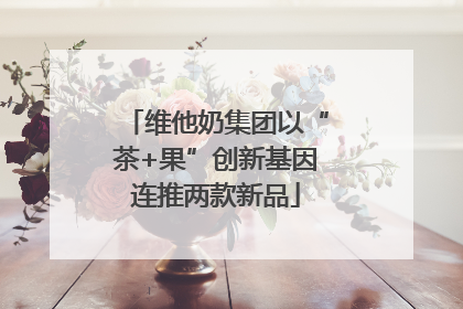 维他奶集团以“茶+果”创新基因连推两款新品