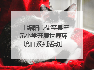 绵阳市盐亭县三元小学开展世界环境日系列活动