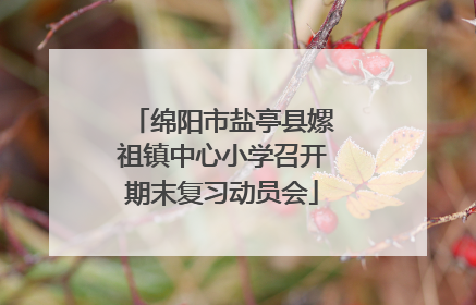 绵阳市盐亭县嫘祖镇中心小学召开期末复习动员会