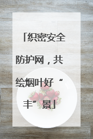 织密安全防护网，共绘烟叶好“丰”景