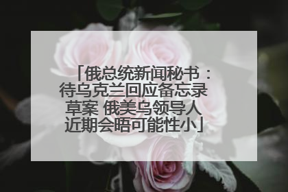俄总统新闻秘书：待乌克兰回应备忘录草案 俄美乌领导人近期会晤可能性小