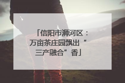 信阳市浉河区：万亩茶庄园飘出“三产融合”香