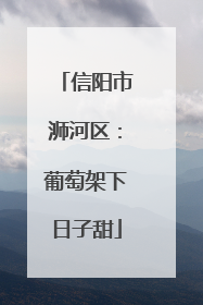 信阳市浉河区：葡萄架下日子甜