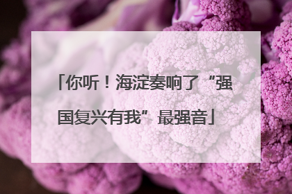 你听！海淀奏响了“强国复兴有我”最强音