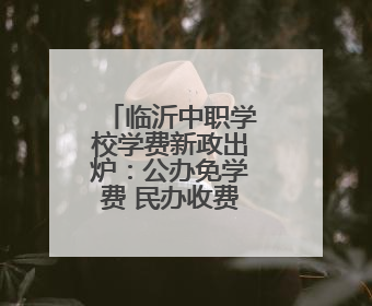 临沂中职学校学费新政出炉：公办免学费 民办收费纳入监管