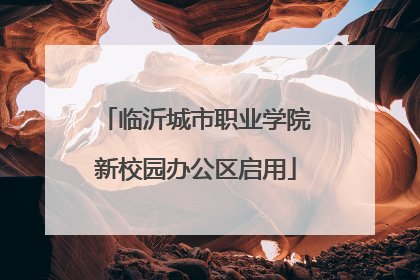 临沂城市职业学院新校园办公区启用