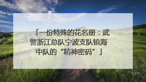 一份特殊的花名册：武警浙江总队宁波支队镇海中队的“精神密码”