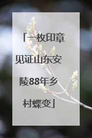 一枚印章见证山东安陵88年乡村蝶变
