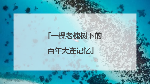 一棵老槐树下的百年大连记忆