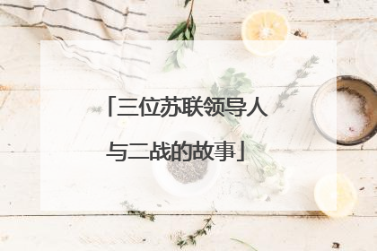三位苏联领导人与二战的故事