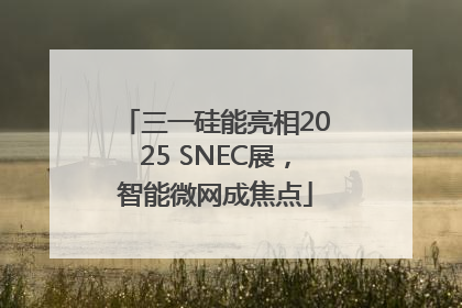 三一硅能亮相2025 SNEC展，智能微网成焦点