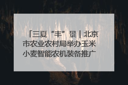 三夏“丰”景｜北京市农业农村局举办玉米小麦智能农机装备推广“田间日”活动