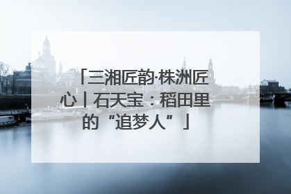 三湘匠韵·株洲匠心丨石天宝：稻田里的“追梦人”