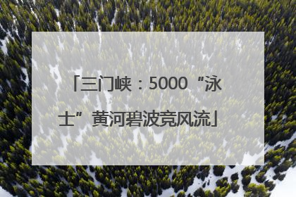 三门峡：5000“泳士”黄河碧波竞风流