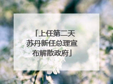 上任第二天 苏丹新任总理宣布解散政府