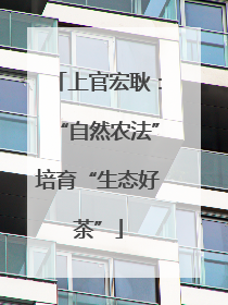 上官宏耿：“自然农法”培育“生态好茶”