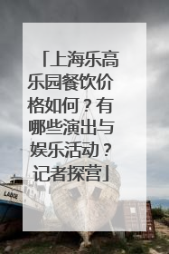 上海乐高乐园餐饮价格如何？有哪些演出与娱乐活动？记者探营