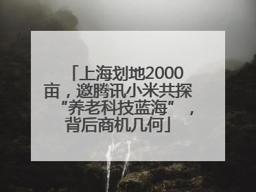 上海划地2000亩，邀腾讯小米共探“养老科技蓝海”，背后商机几何