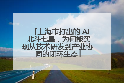 上海市打出的 AI 北斗七星，为何能实现从技术研发到产业协同的闭环生态