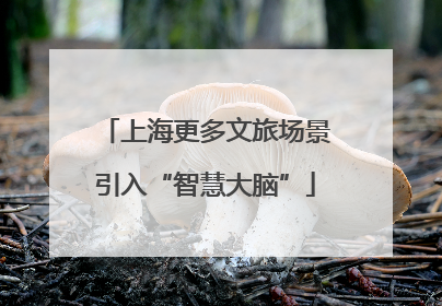 上海更多文旅场景引入“智慧大脑”