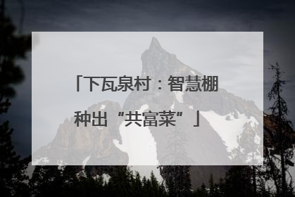 下瓦泉村：智慧棚种出“共富菜”
